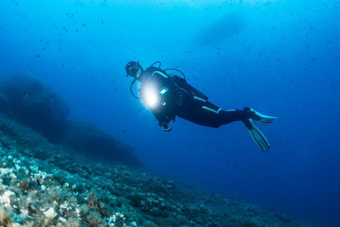 Two Morning Dives in Gozo for Certified Diver - The first shore session, briefing before the water