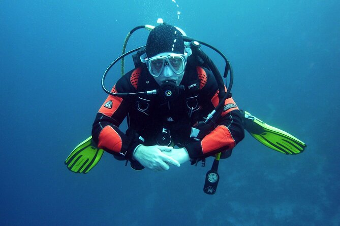 Two Morning Dives in Gozo for Certified Diver - The second session at the same general site