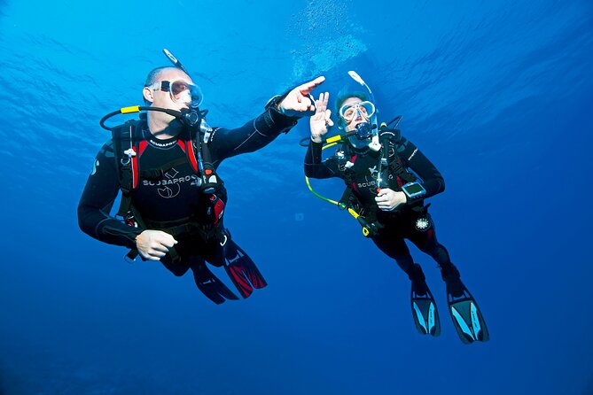 Two Morning Dives in Gozo for Certified Diver - Is $181.02 good value?