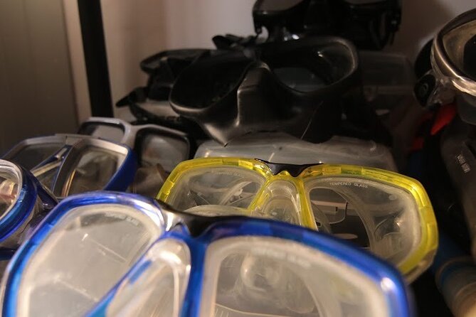 Two Morning Dives in Gozo for Certified Diver - Meeting at 8 a.m. in the Marsalforn area