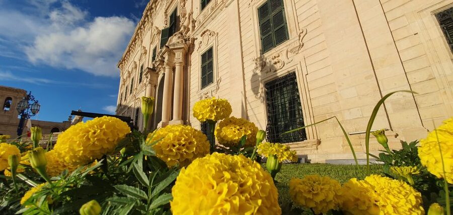 Valletta: Food Walking Tour with Tastings - Merchants Street: the main run of tastings
