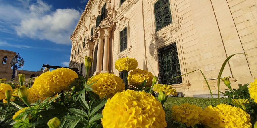 Valletta: Private Maltese Cuisine Walking Tour - What the $188 Price Really Buys