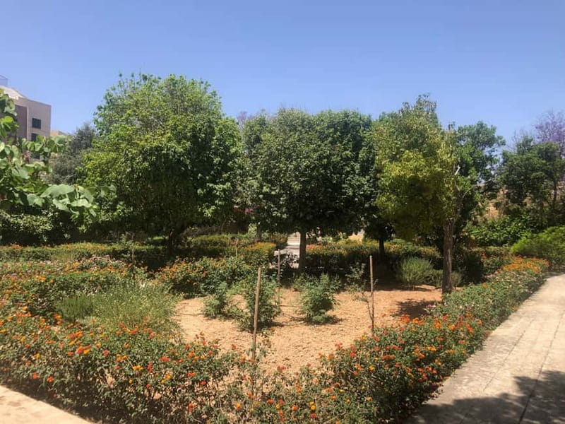 Visit Tarxien Temples, Kalanka Bay, Blue Grotto, Marsaxlokk - Why this route works for a first look at southeast Malta